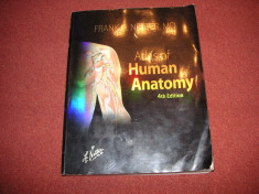 Frank H. Netter - Atlas of human anatomy - editia 4 foto