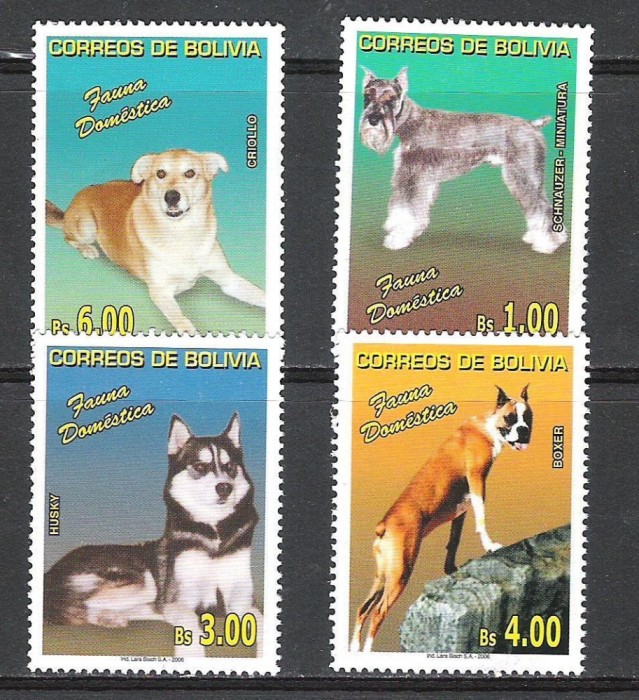 BOLIVIA 2010 FAUNA DOMESTICA CAINI BOLIVIA 2010 FAUNA DOMESTICA CAINI
