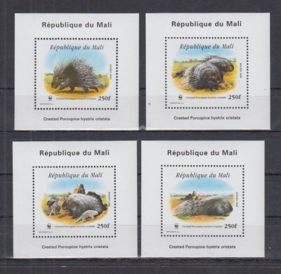 MALI 1998 WWF PORCUL TEPOS foto