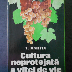 T. Martin - Cultura neprotejata a vitei de vie (1978, editie cartonata)