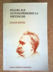 Claus Zittel - Figuri ale autosuprimarii la Nietzsche foto