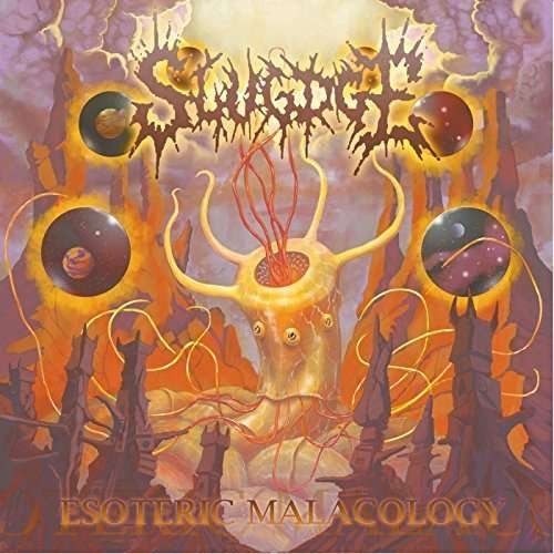 Slugdge - Esoteric Malacology ( 1 CD ) foto mare Slugdge - Esoteric Malacology ( 1 CD ) foto mare