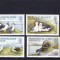 FALKLAND ISLANDS 1983 PASARI ALBATROSI
