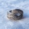 INEL argint SUPERB batut in zirconii ELEGANT splendid De EFECT