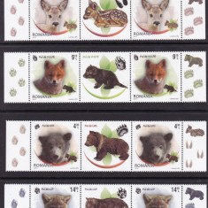 2012 LP1960 LP 1960 c PUI DE ANIMALE SALBATICE STRAIF SERIE+SERIE VINIETE MNH