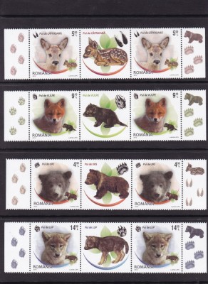 2012 LP1960 LP 1960 c PUI DE ANIMALE SALBATICE STRAIF SERIE+SERIE VINIETE MNH foto