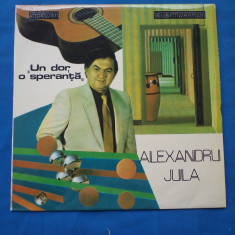 ALEXANDRU JULA /UN DOR ,O SPERANTA