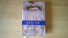 Epicur &amp;amp; Epicureismul antic - editie bilingva, Andrei Cornea foto