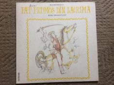 fat frumos din lacrima basm dramatizat mihai eminescu disc vinyl lp poveste foto