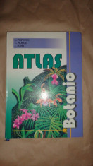 Atlas botanic an 2002/ilustratii/213pag- Popovici , Moruzi , Toma foto