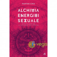 Alchimia energiei sexuale - Mantak Chia foto