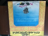 Cantece din folclorul nou i-auzi cum mai canta tara disc vinyl muzica populara, VINIL, Electrecord