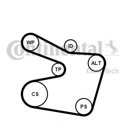 Set curea transmisie cu caneluri BMW Seria 3 Cabriolet (E46) (2000 - 2007) CONTITECH 6PK1538K2 foto mare Set curea transmisie cu caneluri BMW Seria 3 Cabriolet (E46) (2000 - 2007) CONTITECH 6PK1538K2 foto mare