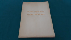 PLANTE MEDICINALE DIN FLORA SPONTANA/ CORNELIU CONSTANTINESCU/ 1962 foto