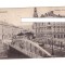 CP Cluj - Strada Franz Iosif/Ferencz Jozsef, 1914, animata, circulata
