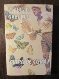 Clipa de curaj - Vladimir Nabokov