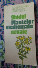 Ghidul plantelor medicinale uzuale 238pagini/ilustratii/an 1991 foto
