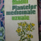 Ghidul plantelor medicinale uzuale 238pagini/ilustratii/an 1991