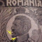 EROARE ROMANIA 1920/27 , FERDINAND, LITERA R (ROMANIA),LIPSA BARBA