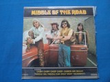 FORMATIA MIDDLE OF THE ROAD(AMERICA), VINIL, Rock, electrecord