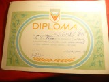 Diploma Daciada - Lupte Greco-Romane locul 1 - 1983