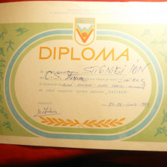 Diploma Daciada - Lupte Greco-Romane locul 1 - 1983