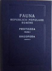 FAUNA REPUBLICII POPULARE ROMINE - PROTOZOA VOL. I / RHIZOPODA FASCICULUL 2 / EUAMOEBIDEA de IOSIF LEPSI , 1960 foto