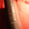 P.Vergili Maronis Opera - Ed.Leipzig 1875 vol 3 ,858 pag,trad.Albertus Forbiger