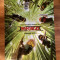 Poster The LEGO Ninjago Movie 101.5 x 68.5 cm