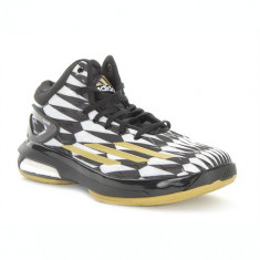 Adidasi Barbati Adidas Crazy Light Boost D73978 foto