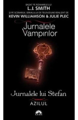 Jurnalele vampirilor. Jurnalele lui Stefan vol. 5: Azilul - L.J. Smith foto