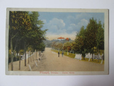 Carte postala Pitesti-Ocolul silvic Trivalea,circulata 1918-KUK Com.Telegraf WWI foto