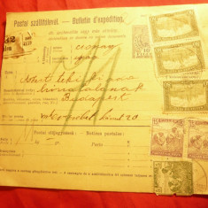 Buletin de Expeditie Ungaria 1918 cu marca fixa 10 filler si 3x80 filleri marci