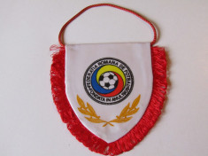 Fanion FRF fotbal ROMANIA (Campionatul Mondial SUA 1994) foto