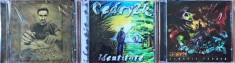 Cedry2k - Cuvintecevindeca &amp;amp; Identitate &amp;amp; Romania Furata (set 3 CD sigilate) foto