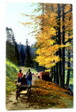 Carte postala veche Germania- Postkarte - peisaj montan