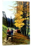 Carte postala veche Germania- Postkarte - peisaj montan, Circulata, Fotografie