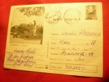 Carte Postala Ilustrata - Zimnicea - Parcul cod 531/70, Circulata, Printata