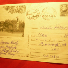 Carte Postala Ilustrata - Zimnicea - Parcul cod 531/70