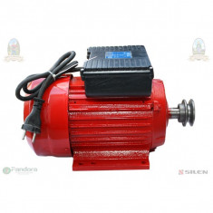 GF-1158 Motor electric 2.5 kw 3000rpm TROIAN ROSU foto