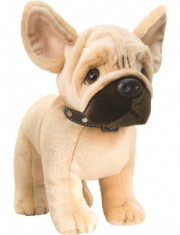 Catel de plus Bulldog francez 40 cm foto