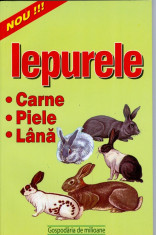 Iepurele - Carne, piele, lana foto