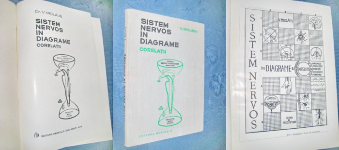 V. Miclaus- Sistem nervos in diafragme-Corelatii. Editura Medicala, Bucuresti.