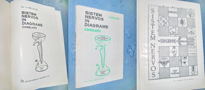 V. Miclaus- Sistem nervos in diafragme-Corelatii. Editura Medicala, Bucuresti.