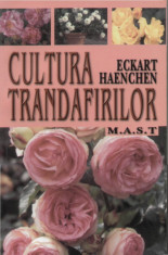 Cultura trandafirilor foto