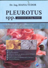 Pleurotus spp. sau pastravul de fag - Tehnologia de cultura in sistem clasic si intensiv - Dr. Ing. Ioana Tudor foto