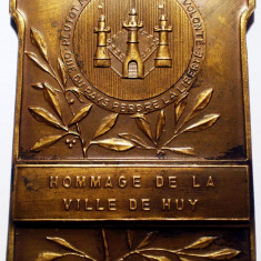 5.023 BELGIA PLACHETA HOMMAGE DE LA VILLE DE HUY 60/45mm bronz