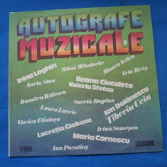 AUTOGRAFE MUZICALE 3 / MUZICA POPULARA