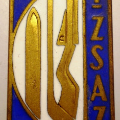 I.743 INSIGNA POLONIA SPORT TIR SKI SCHI HOCHEI IZSAZ 1961 h43mm email