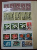 TIMBRE CLADIRI,FLORA ,FAUNA